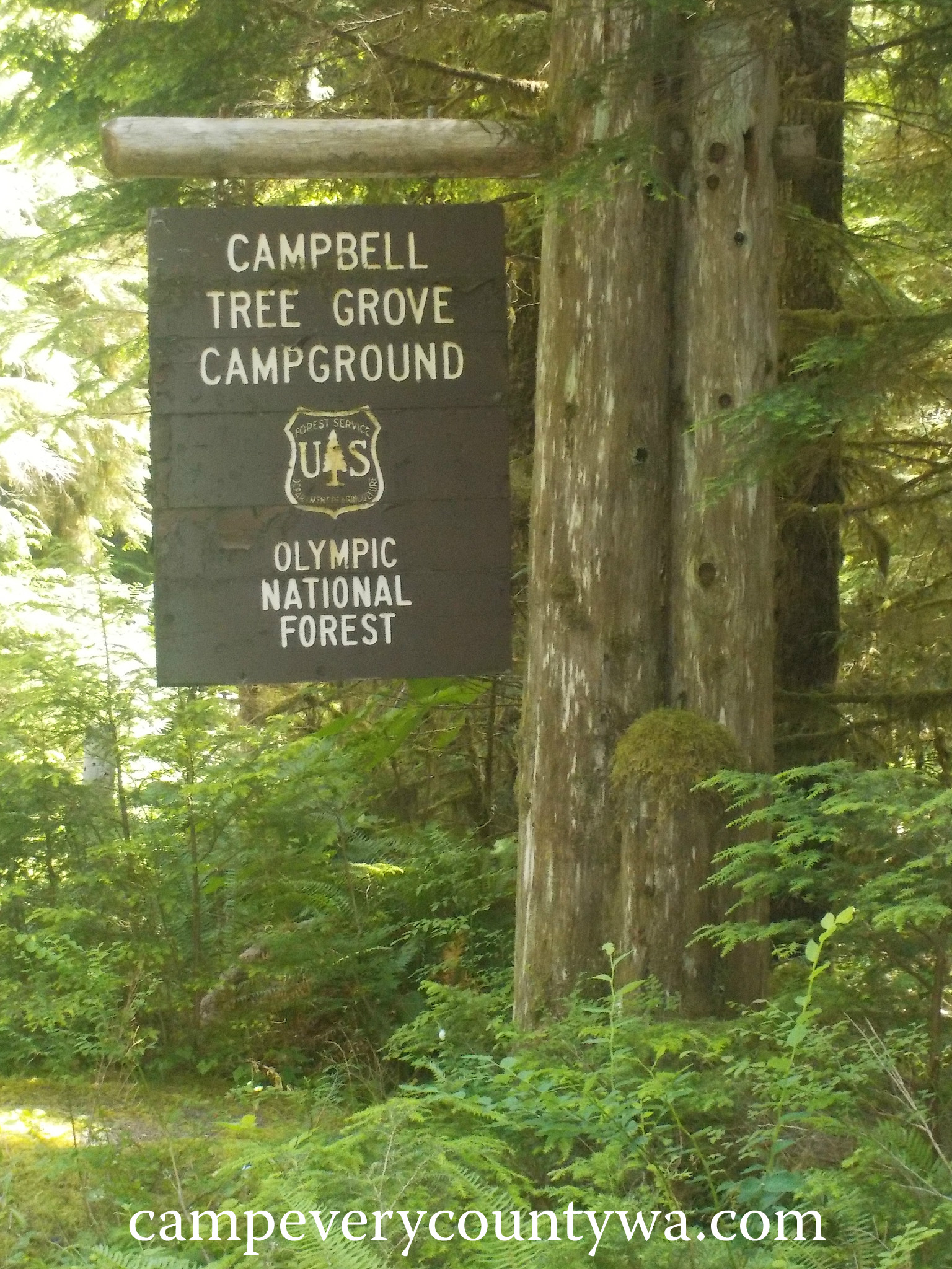 photos campbell tree grove